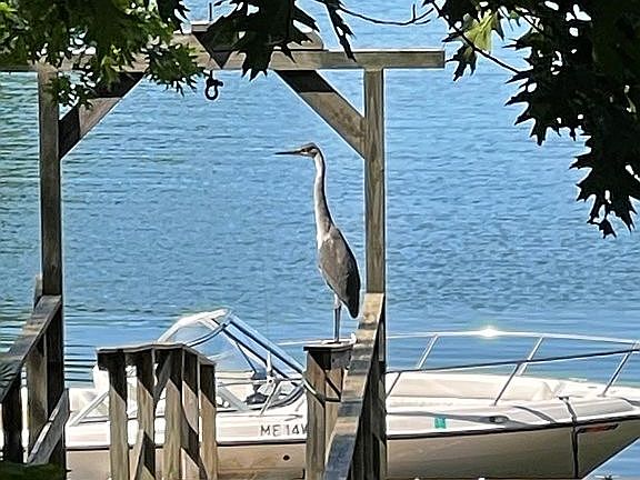 Dock on Sheepscot River 