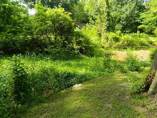 5th image of 111 Cypress Point Ln