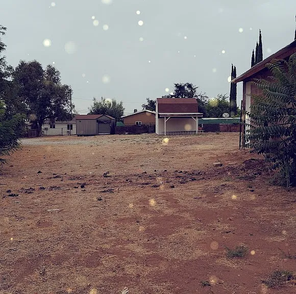 picture of huge back yard over 1 acre