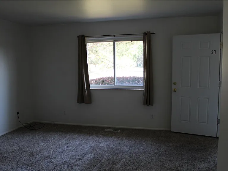 37 Maplecrest Dr — Photo 33