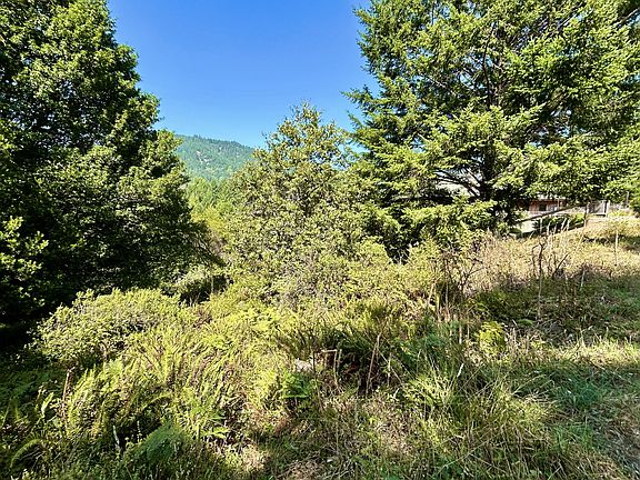 5th image of 427 Humboldt Loop Rd