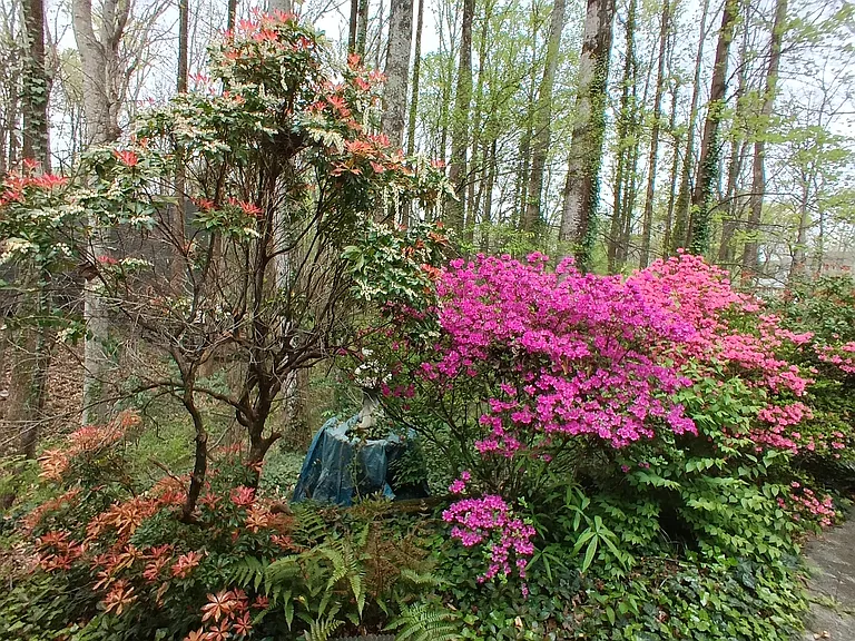 3982 Admiral Dr — Photo 24