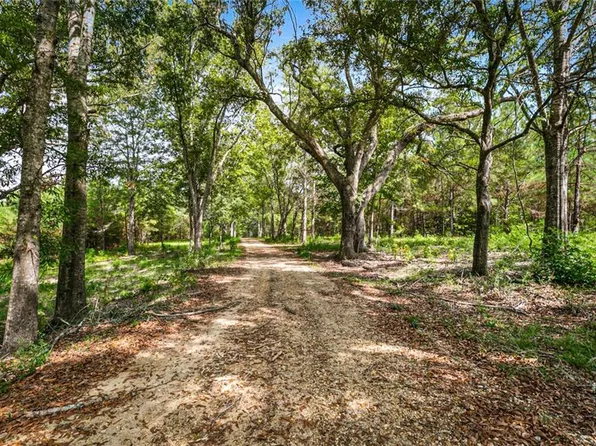 41621 Mockingbird Hill Rd, Franklinton, LA 70438