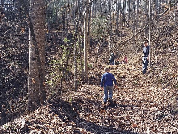 Primitive Road on Property