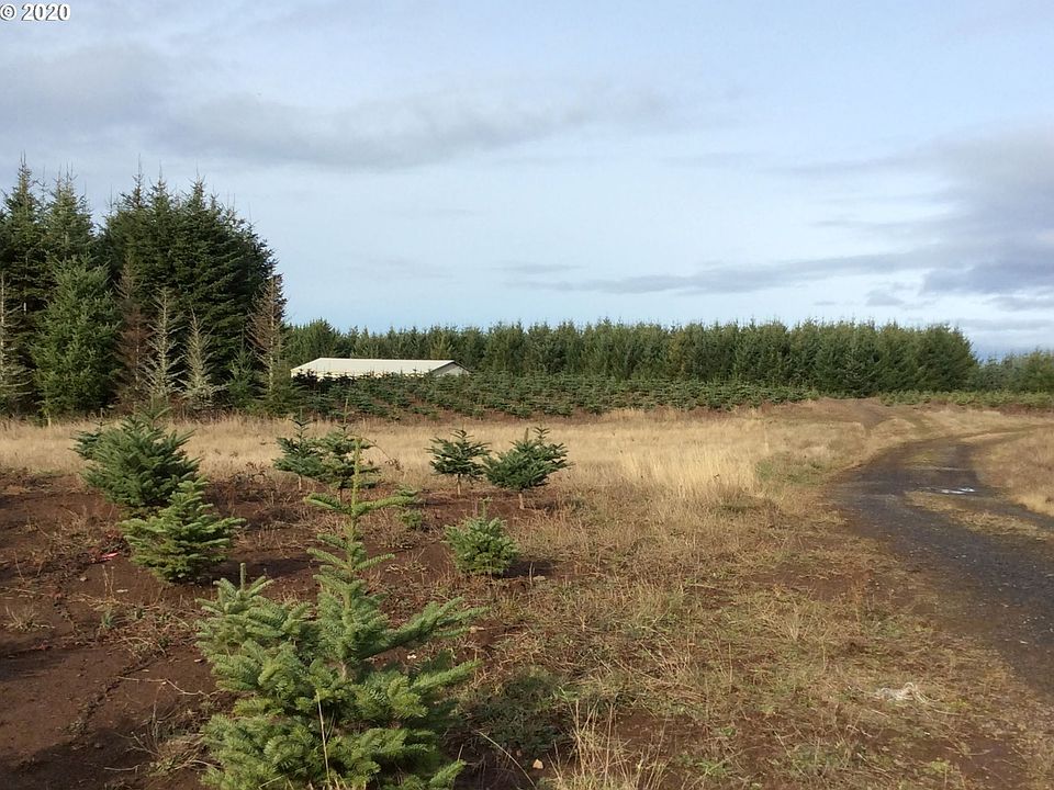 2nd image of 44750 SE Marmot Rd
