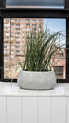 Rented by Compass | media 31