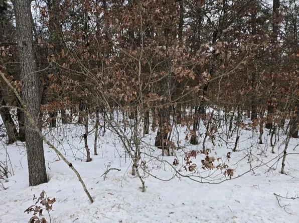 V/l Unity, Idlewild, MI 49642