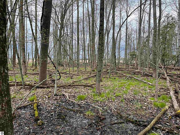 2nd image of Nka Pine River Rd