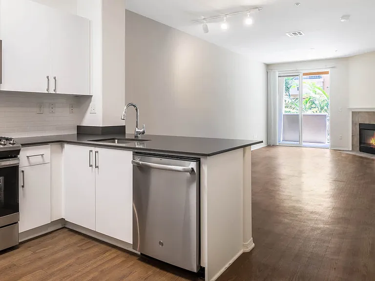 Kitchen and Living Room with Fireplace