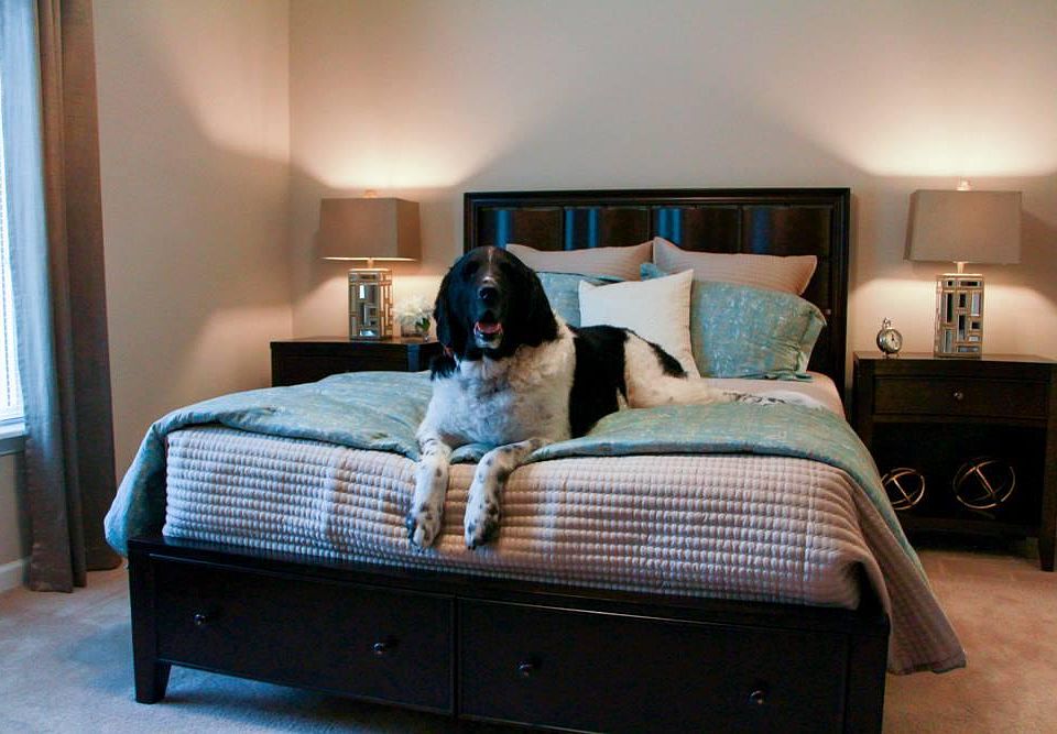 Pets are welcome! Any size, up to 3 pets per home.