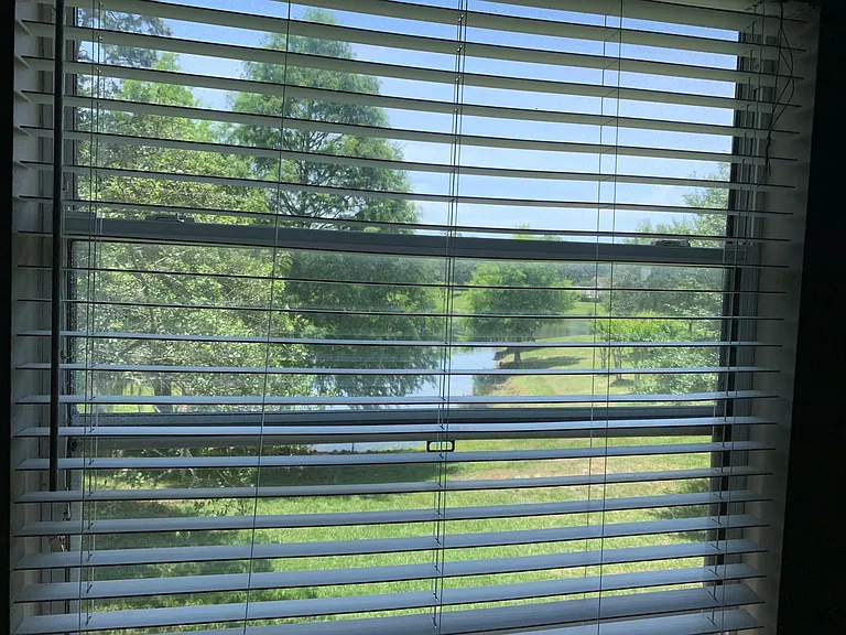 Master Bedroom Window view.