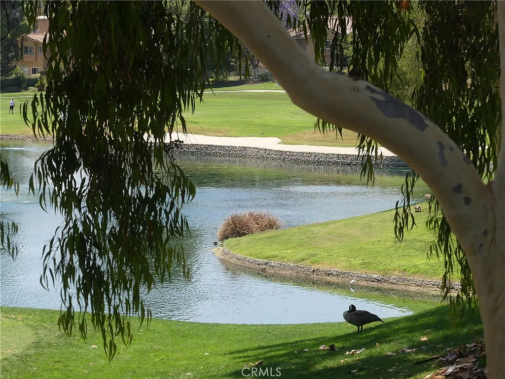 2 bed, 1117 sqft, $3,600 — Photo 1