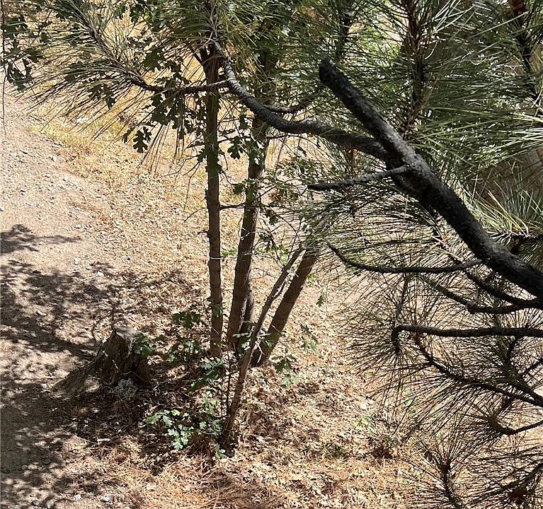 1st image of 0 Robin Ln Lot 34