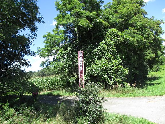 Summer driveway #1 - from road