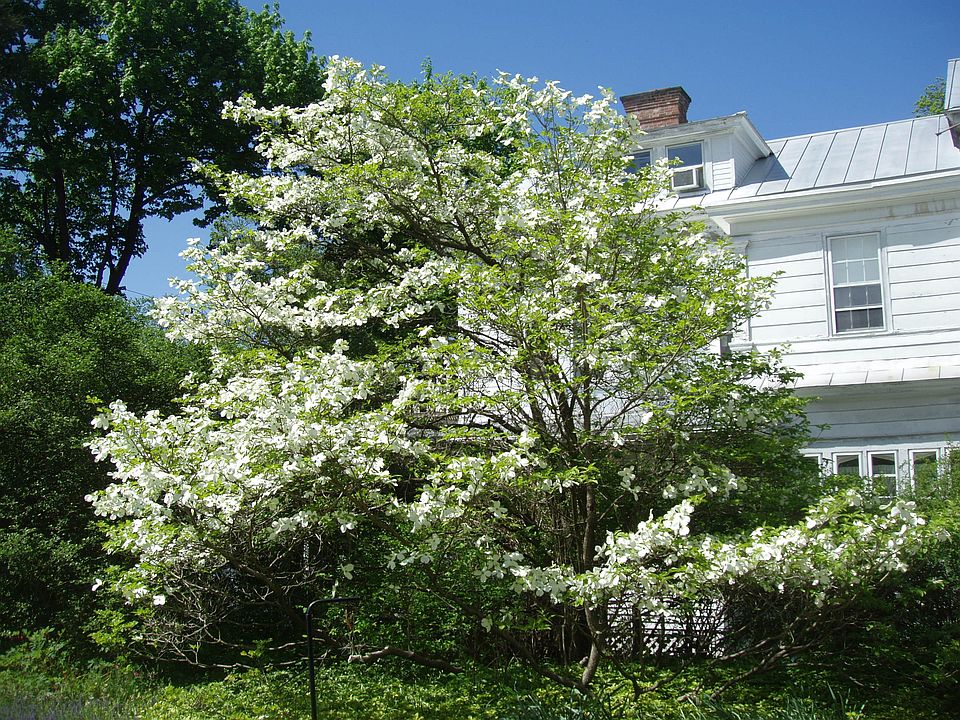 2nd image of 126 Academy St