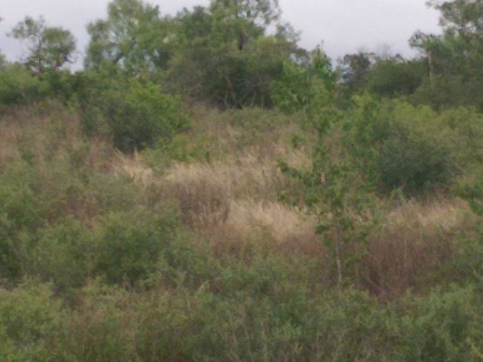 2nd image of 546 County Road 5781