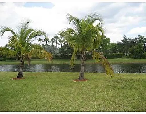 1560 Orion Ln Photo 1