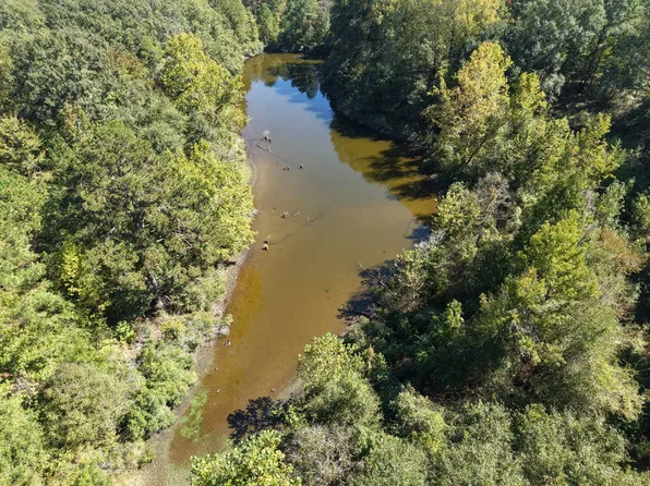 0 County Road 38, Catherine, AL 36728