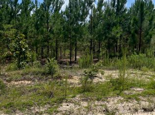 Bff 1c Brunson Teal Rd #BFF-1C, Patrick, SC 29584