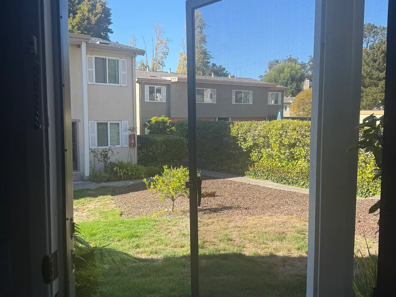 1 bed, $2,400 — Photo 3