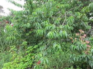 Lot 11, Ocean View, HI 96737