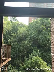 Rented by Living New York