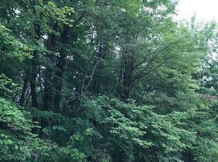 7596 Meridian Rd, Bannister, MI 48807