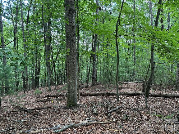 4th image of Pine Burr Dr #139
