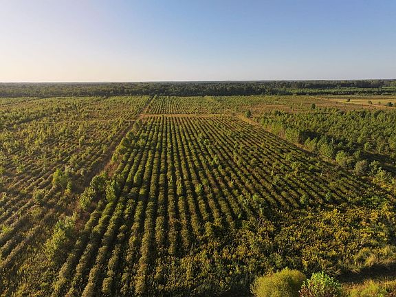 18606_1-DJI_20250928001907_0734_D-1