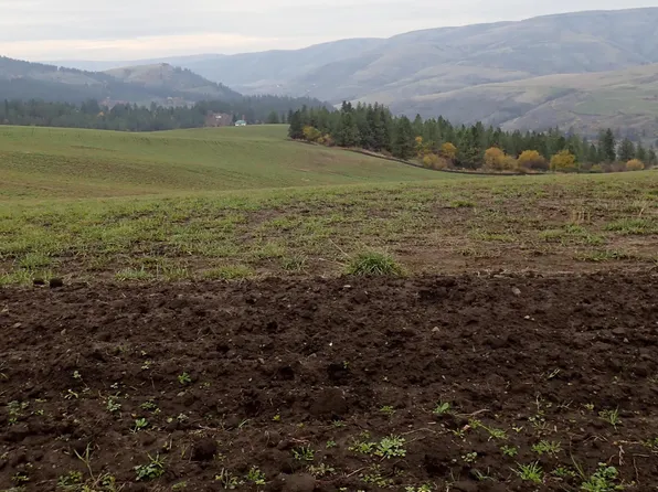 20704 Summit Grade, Lenore, ID 83541