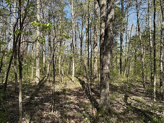 4th image of 0 Cedar Grove Rd S