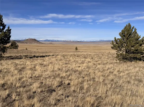 311 Harness Way, Hartsel, CO 80449