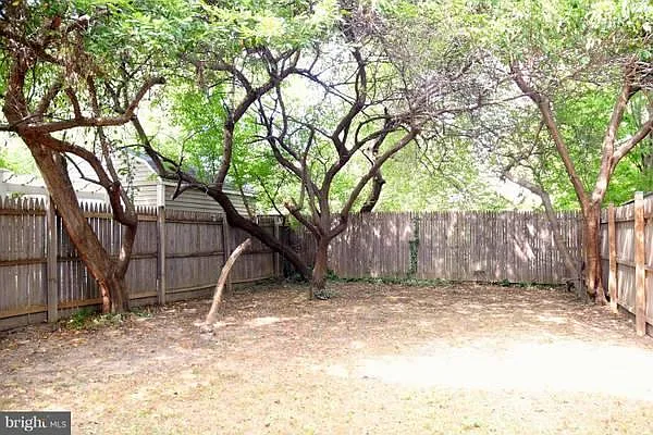 3 bed, 1216 sqft, $3,600 — Photo 2