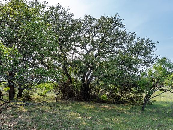 Mills County Land For Sale with Large Oaks & Owner Financing Offered