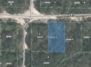 203 Dovil St, Interlachen, FL 32148