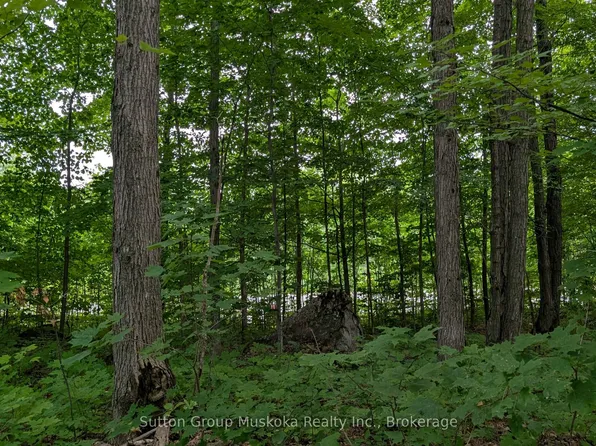 837 Aspdin Rd, Huntsville, ON P1H 0G7