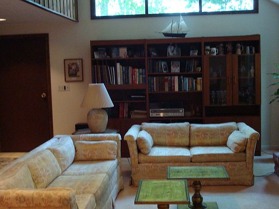 Living Room vaulted ceiling