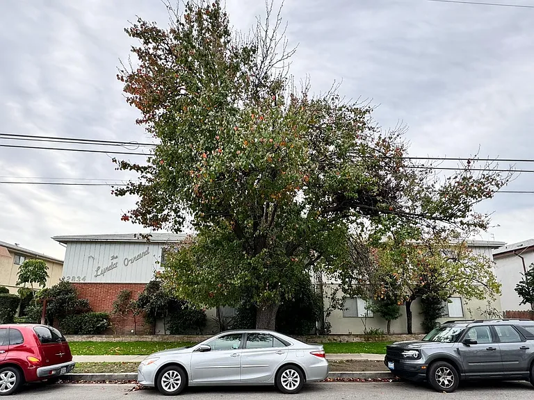 Street view of the Lynda Oxnard Apartments