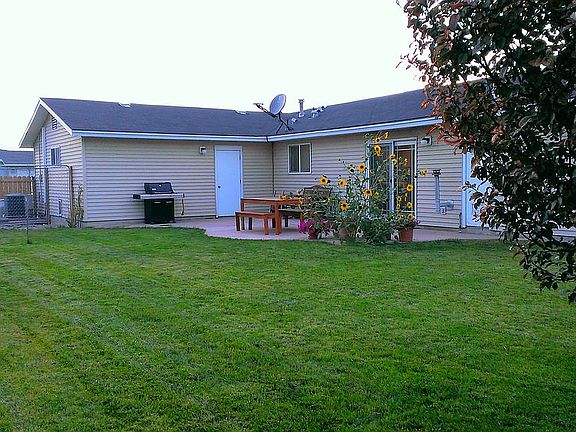 Back yard