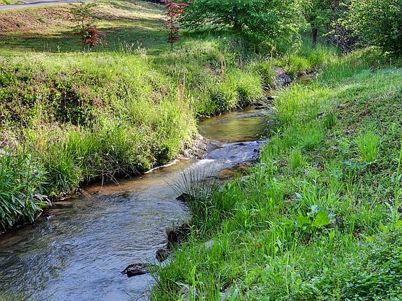 5th image of 20 Bates Creek Rd
