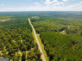 3 State Highway 87, Rhine, GA 31077