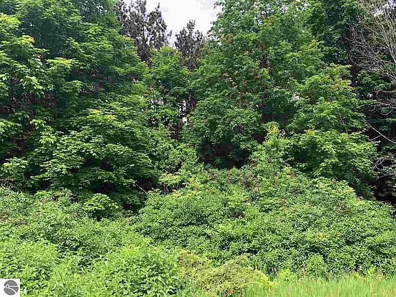 2nd image of 0 Skegemog Point Rd