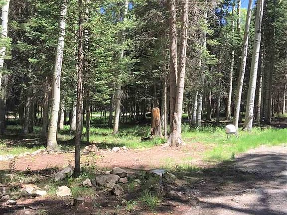 3rd image of 603 Hazel Lake Dr