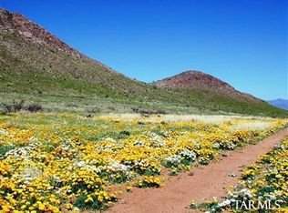 0 E Highway 181 S, Pearce, AZ 85625