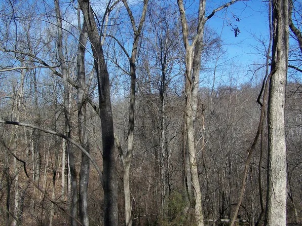 783 Uphill Ln, Marshall, AR 72650