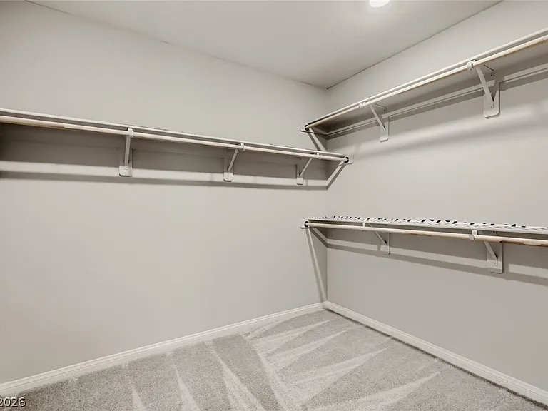 10790 Wild Parsley Ave — Photo 24