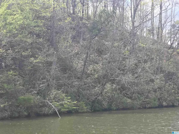 Lot 1 Eagle Mountain Rd Lot 1, Rockford, AL 35136