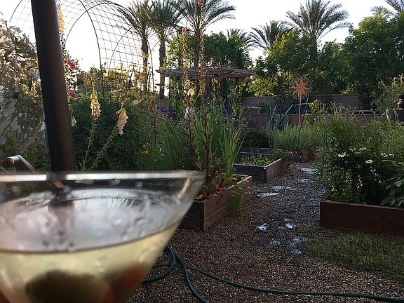 Enjoy cocktails in garden