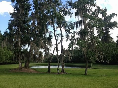 1509144_img_8a_large