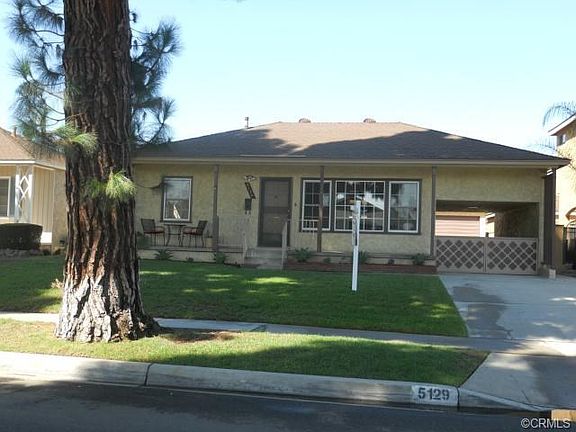 Shady pine tree for morning coffee time.  Check out that drive t